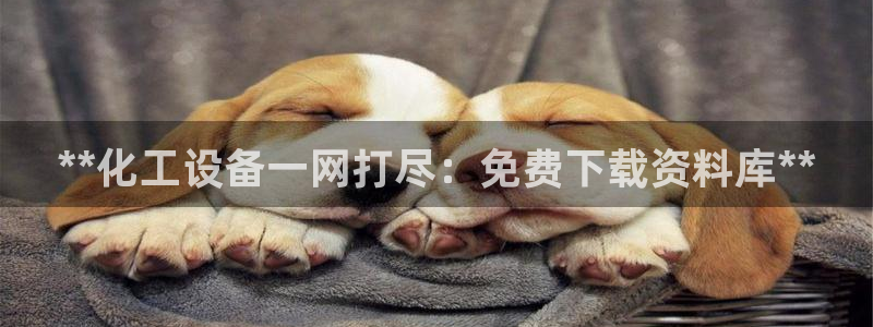 新宝gg注册平台