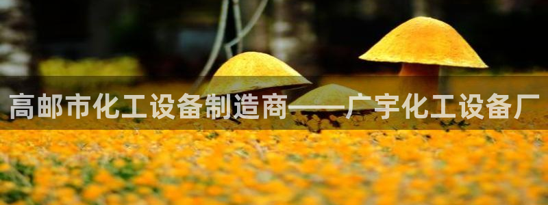 新宝gg最简单登录方法