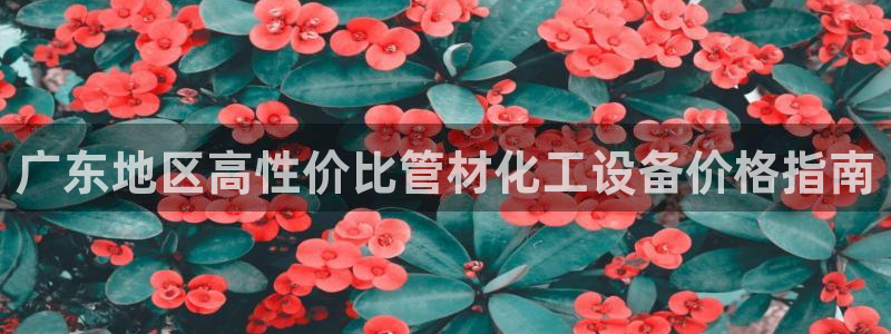新宝gg创造奇迹平台怎么样
