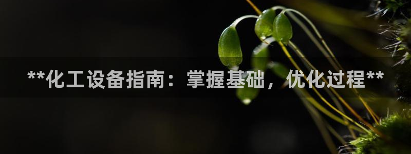 新宝gg平台是否合法