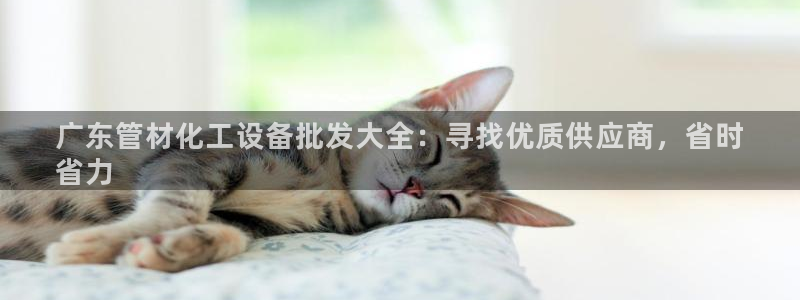 新宝gg6—创造奇迹官方登录