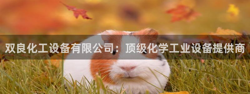 新宝gg—创造奇迹代理登录