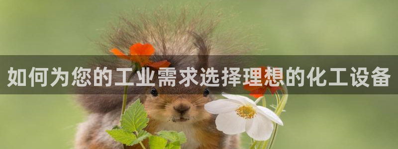 新宝gg创造奇迹官网