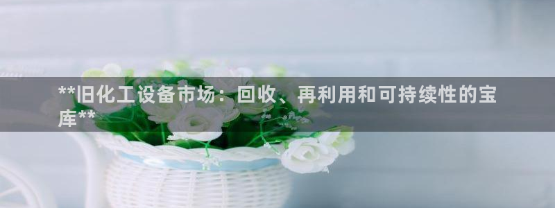 新宝gg6—创造奇迹官方登录