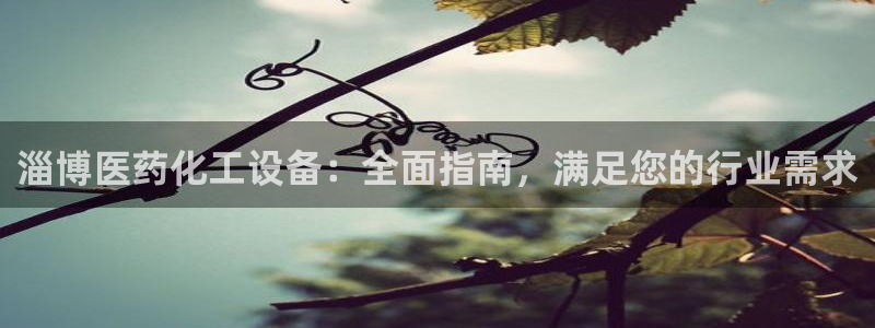 新宝GG平台登录注册