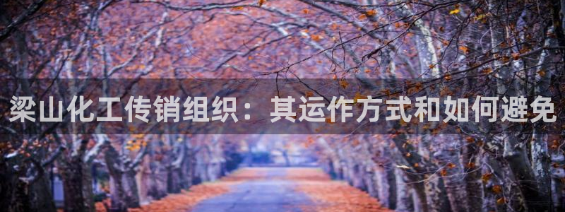 新宝gg平台是否合法