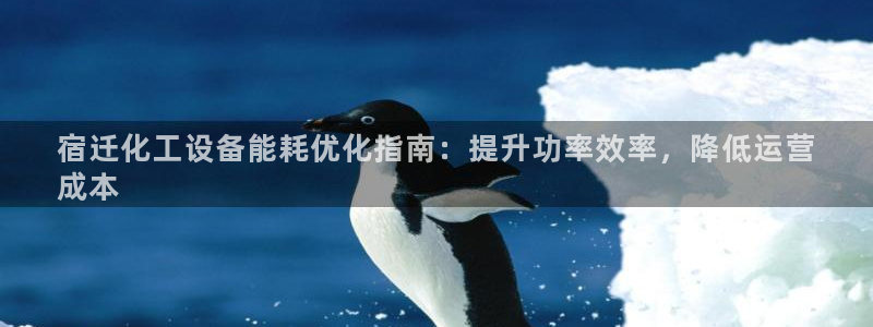新宝gg手机版登录官网