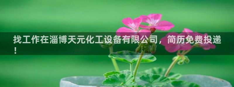 新宝gg为什么登不上去了