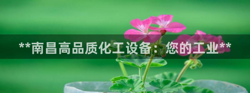新宝gg平台—创造奇迹