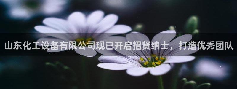 新宝gg—创造奇迹登录注册