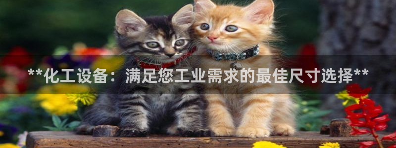 新宝gg售后人工客服电话