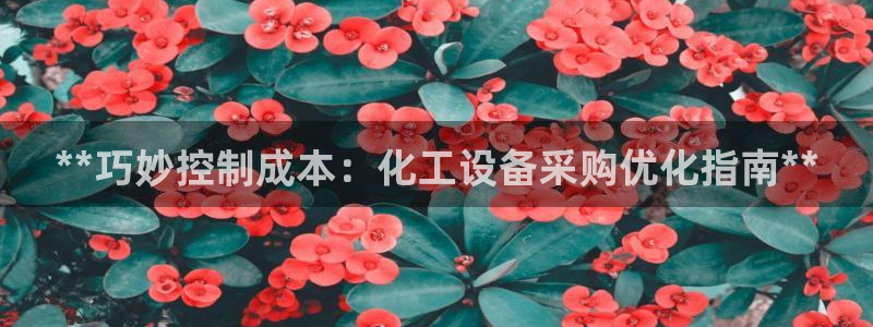 新宝gg创造奇迹登录注册优势