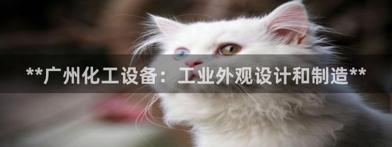 新宝gg一创造奇迹代理测速