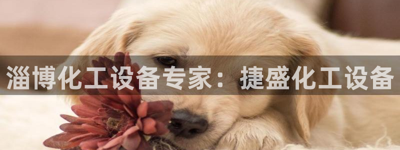 新宝GG创奇迹