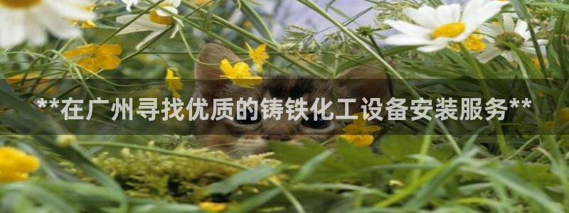 新宝gg上线被抓下线要输钱了会被抓吗