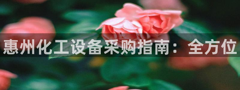 新宝gg登录不了是什么原因