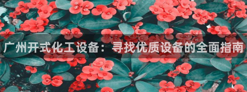 新宝gg6—创造奇迹官方登录