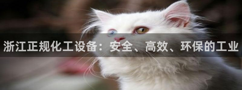 新宝gg一注册
