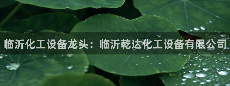 新宝gg上线被抓