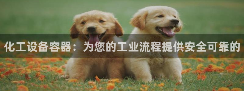 新宝gg创奇迹登录注册
