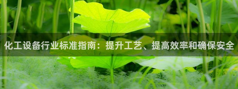 新宝gg官网登录地址