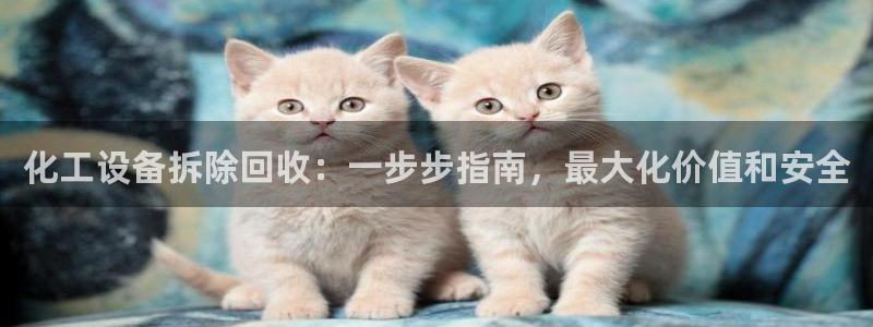 新宝gg售后人工客服电话