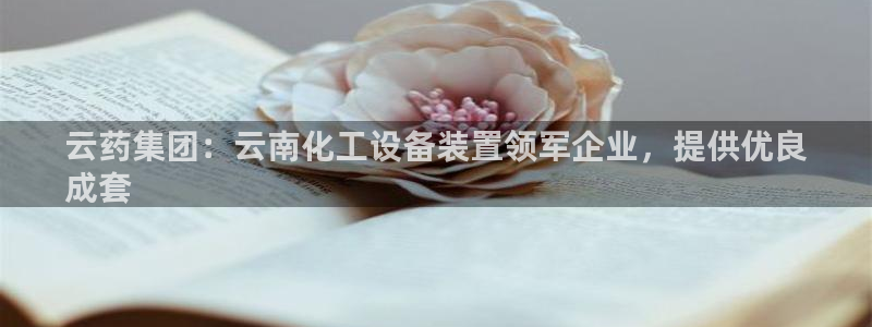 新宝gg提现不到账了?