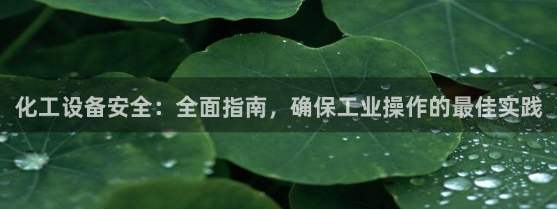 新宝gg为什么登不上去了