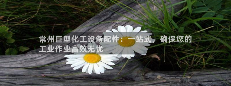 新宝gg手机版登录官网