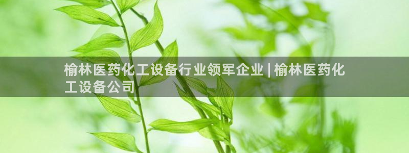 新宝gg创造奇迹平台登录入口