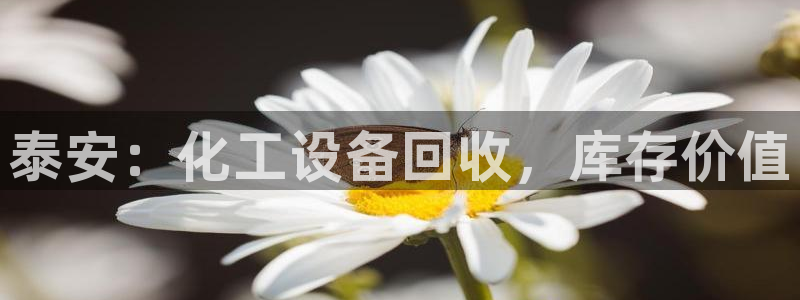 新宝gg创造奇迹平台总代理