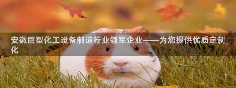 新宝gg—创造奇迹官网
