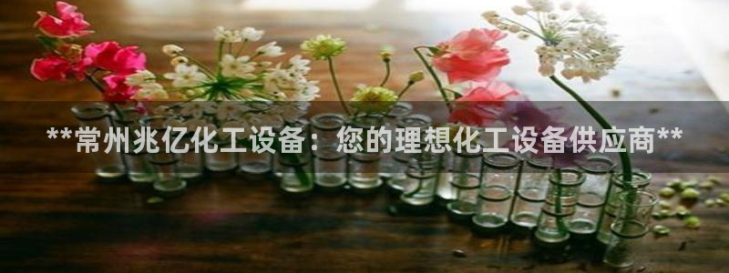新宝gg创造奇迹怎么登录不上去