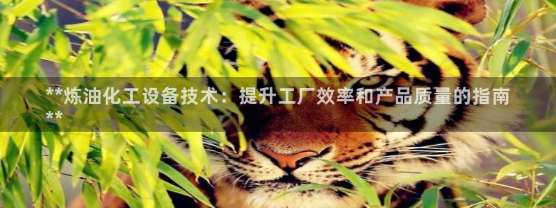 新宝gg奇迹登录怎么登录不了