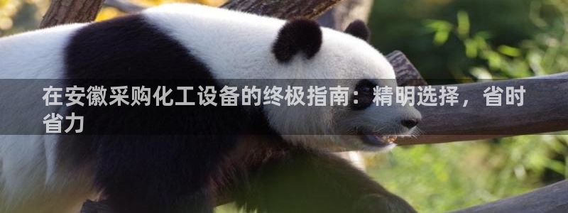 新宝gg登录不上去了了