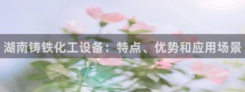 新宝gg案件