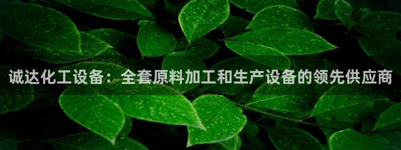 新宝gg创造奇迹平台总代理