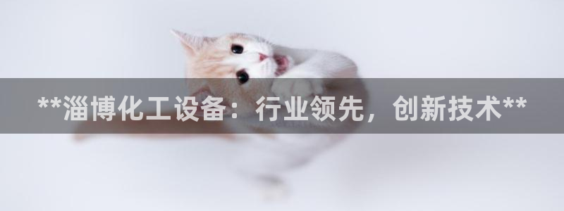 新宝测速gg