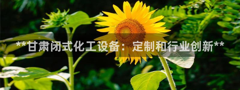 新宝gg平台—创造奇迹