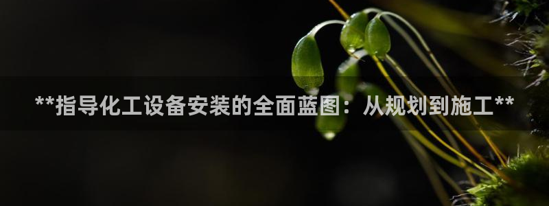 新宝gg真的能赚钱么