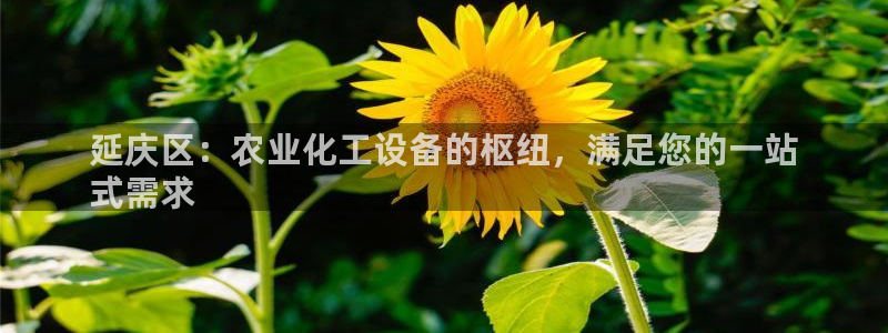 新宝gg登录入口