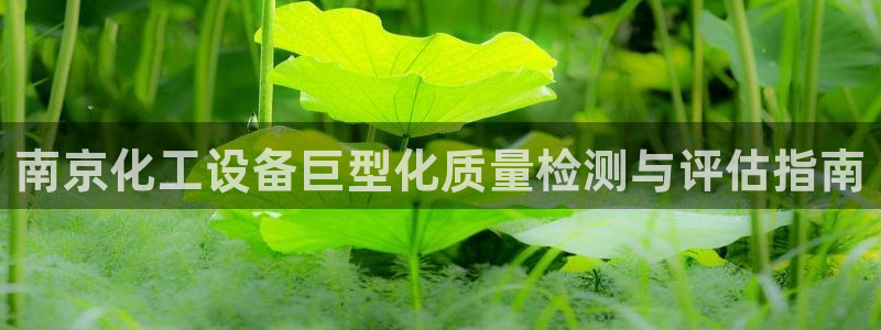 新宝gg平台注册