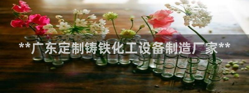 新宝GG平台注册开户