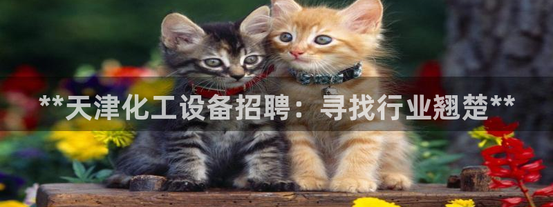 新宝gg售后人工客服电话