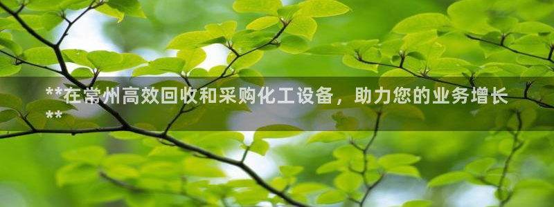 新宝gg提现不到账了?