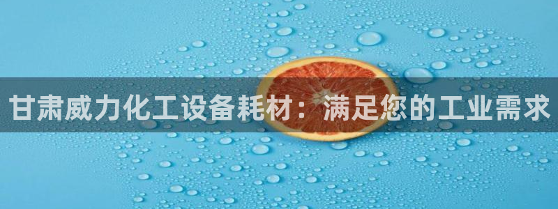 新宝GG平台负责人