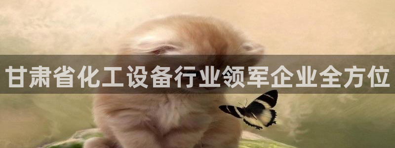 新宝gg官网登录地址