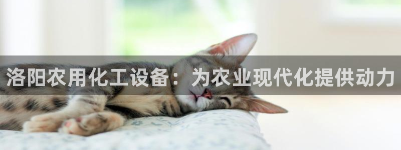 新宝gg登录不了是什么原因