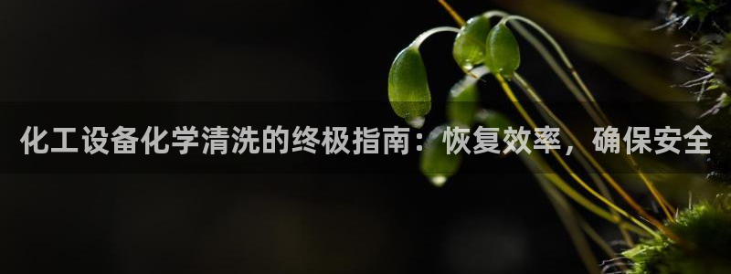 新宝gg创造奇迹登录入口
