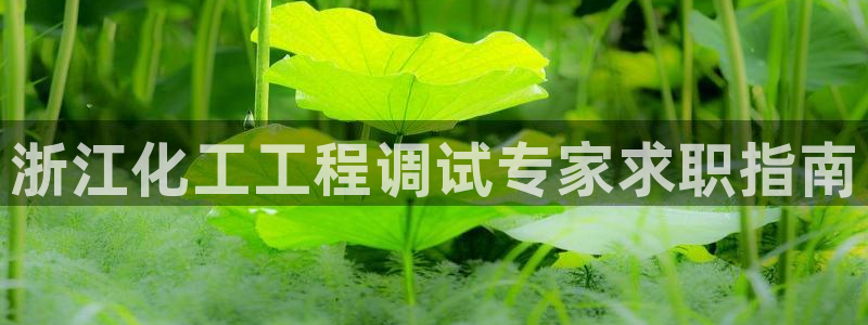 新宝gg__创造奇迹登录